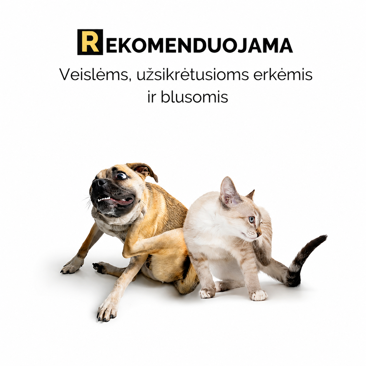 Purškiklio nuo erkių ir šampūno rinkinys